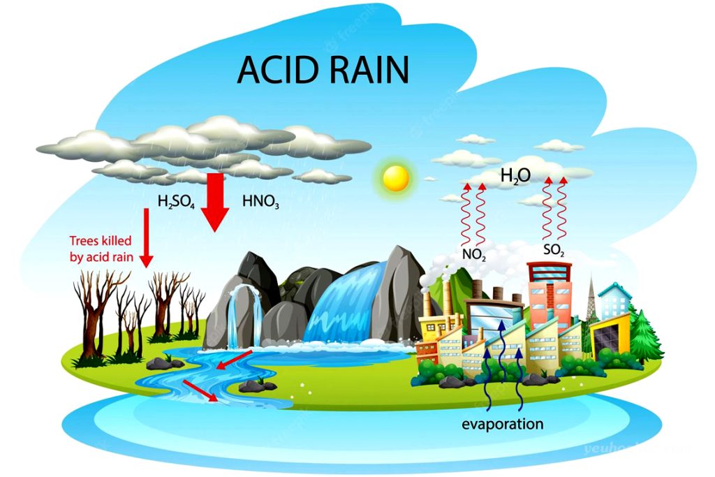 Mưa axit là gì Nguyên nhân và tác hại của mưa acid