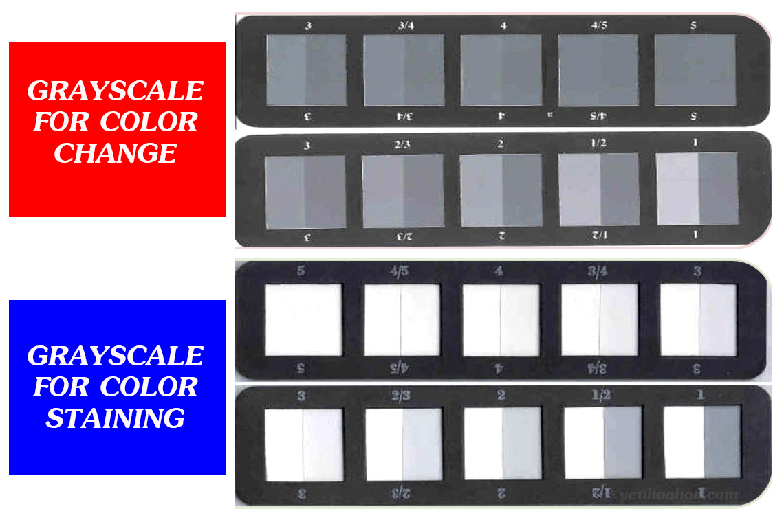 grayscale-for-color-change-and-color-staining