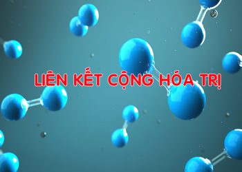 lien-ket-cong-hoa-tri-la-gi
