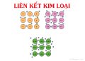 lien-ket-kim-loai-la-gi