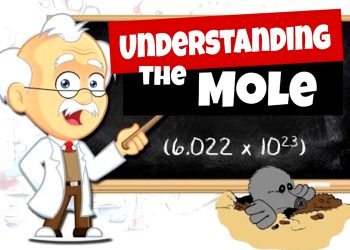 mol-la-gi-what-is-mole