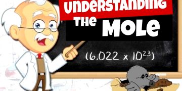 mol-la-gi-what-is-mole