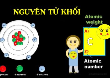 nguyen-tu-khoi-la-gi