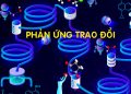 phan-ung-trao-doi-la-gi