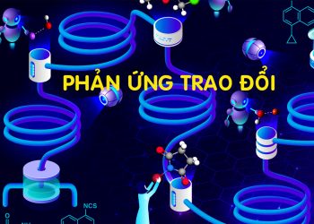 phan-ung-trao-doi-la-gi