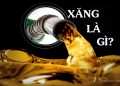 xang-la-gi-1