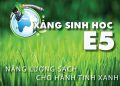 xang-sinh-hoc-e5-la-gi
