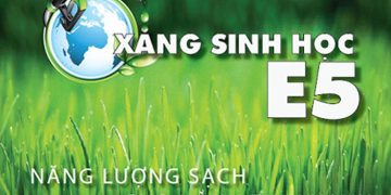 xang-sinh-hoc-e5-la-gi