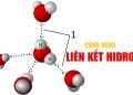 Liên kết Hidro là gì? Đặc điểm và phân loại liên kết H