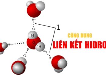 Liên kết Hidro là gì? Đặc điểm và phân loại liên kết H