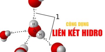 Liên kết Hidro là gì? Đặc điểm và phân loại liên kết H