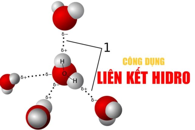 liên kết Hidro là gì? Đặc điểm và phân loại liên kết H