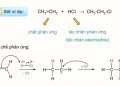 Phản ứng cộng là gì? Cơ chế phản ứng cộng – Ví dụ và bài tập
