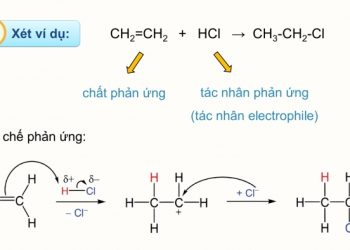 Phản ứng cộng là gì? Cơ chế phản ứng cộng – Ví dụ và bài tập