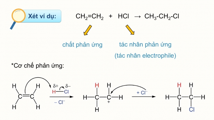 Phản ứng cộng là gì? (ảnh minh họa cơ chế phản ứng cộng HCl)