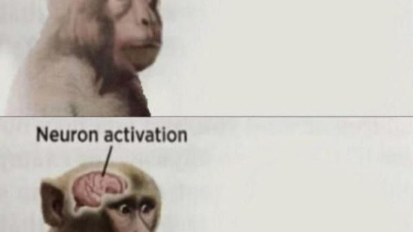 Neuron Activation Meme – Ảnh Chế Não Kích Hoạt Hài 🧠