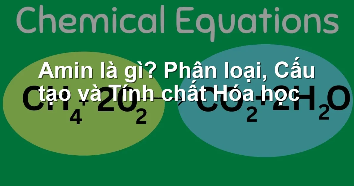 Amin là gì? Phân loại, Cấu tạo và Tính chất Hóa học