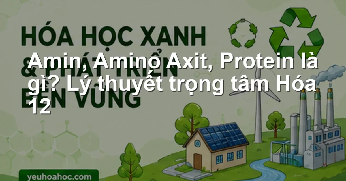 Amin, Amino Axit, Protein là gì? Lý thuyết trọng tâm Hóa 12