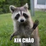 Meme Xin Chào Hello Hi – Ảnh Chế Chào Hỏi Hài Hước 👋