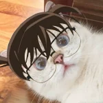 Conan Meme – Ảnh Chế Thám Tử Lừng Danh Hài Hước 🔍