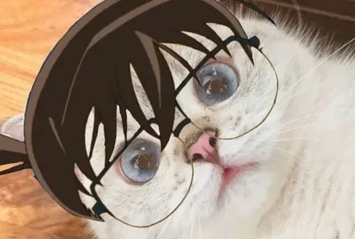 Conan Meme – Ảnh Chế Thám Tử Lừng Danh Hài Hước 🔍