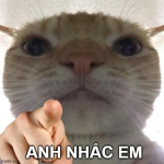 Cút Meme – Ảnh Chế Biểu Cảm Đuổi Đi Hài Hước Viral 👋