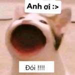 Meme Đói – Ảnh Chế Biểu Cảm Đói Bụng Hungry Hài 🍔