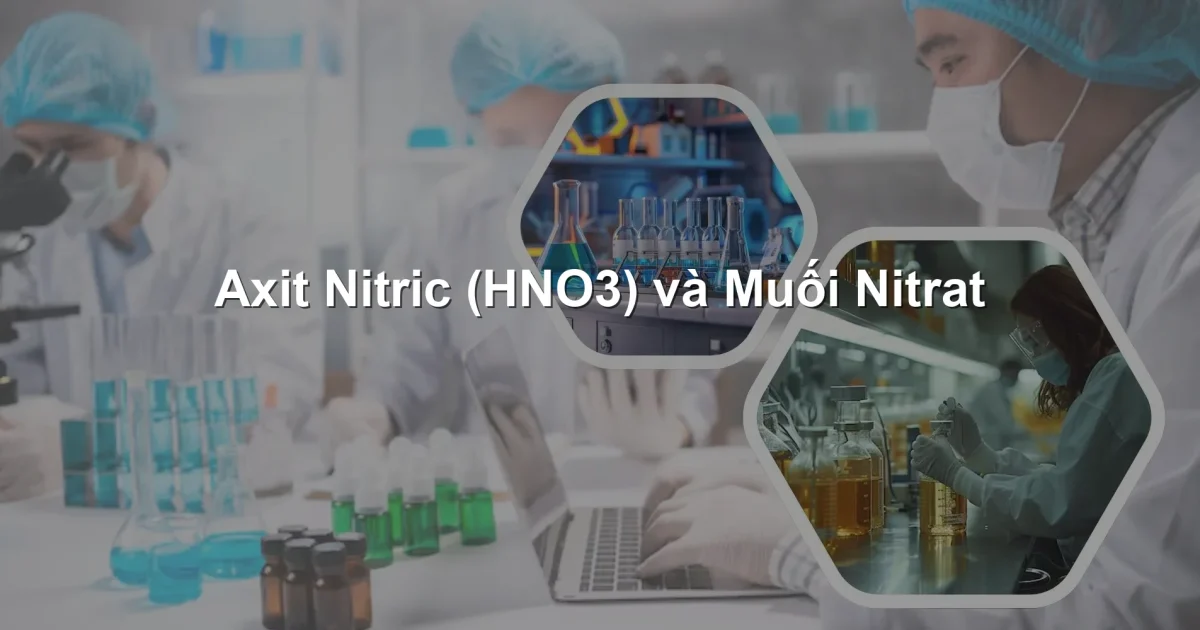 Axit Nitric (HNO3) và Muối Nitrat