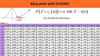 Bảng phân phối Student – Cách tra đơn giản, chính xác nhất