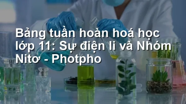 Bảng tuần hoàn hoá học lớp 11: Sự điện li và Nhóm Nitơ – Photpho