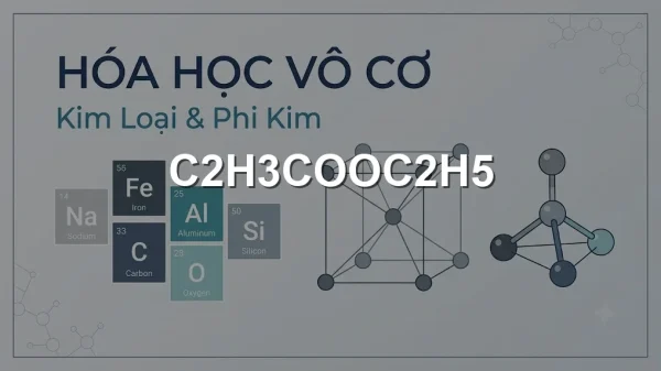 C2H3COOC2H5
