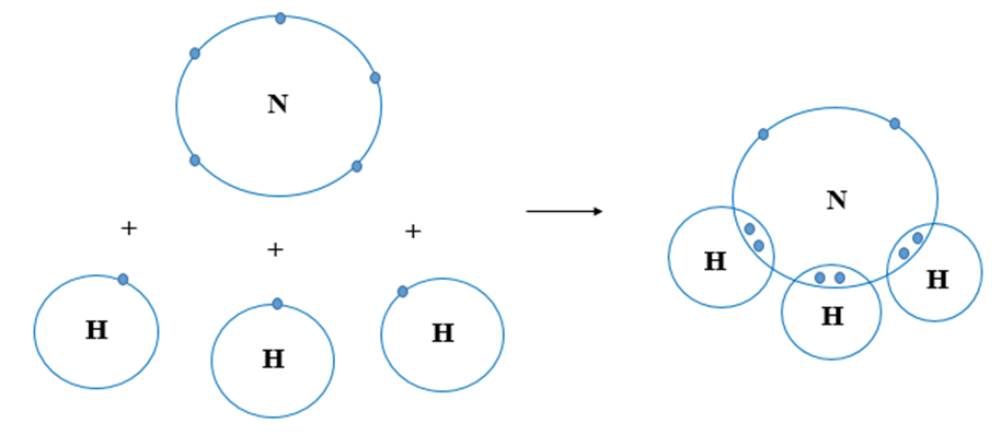 cau-tao-phan-tu-nh3-va-cac-lien-ket-hoa-hoc Cấu tạo phân tử NH<sub>3</sub> và các liên kết hóa học