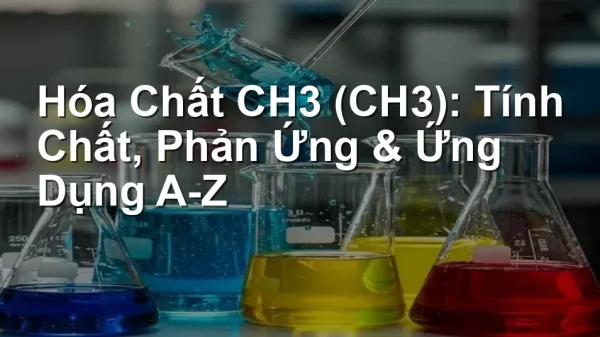Hóa Chất CH3 (CH3): Tính Chất, Phản Ứng & Ứng Dụng A-Z