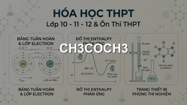 CH3COCH3