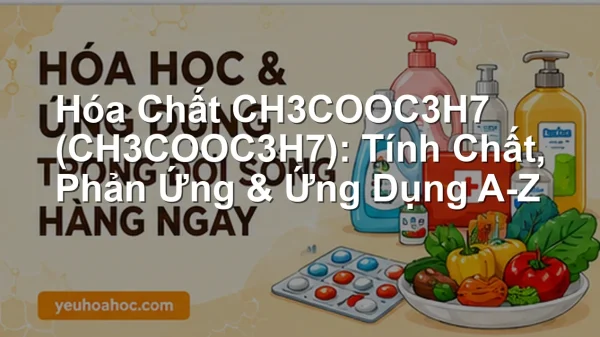Hóa Chất CH3COOC3H7 (CH3COOC3H7): Tính Chất, Phản Ứng & Ứng Dụng A-Z