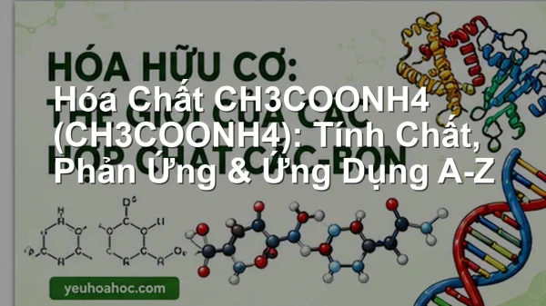 Hóa Chất CH3COONH4 (CH3COONH4): Tính Chất, Phản Ứng & Ứng Dụng A-Z