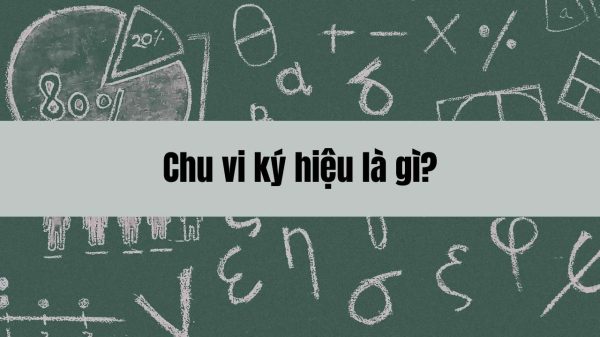 Chu vi ký hiệu là gì? Khái niệm, công thức và hướng dẫn tính toán chu vi