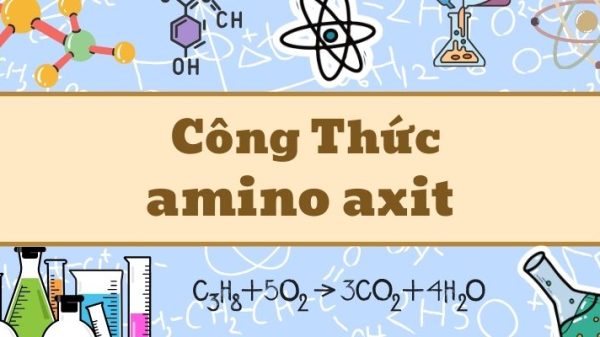 Công thức amino axit và thông tin cơ bản về cấu tạo phân tử
