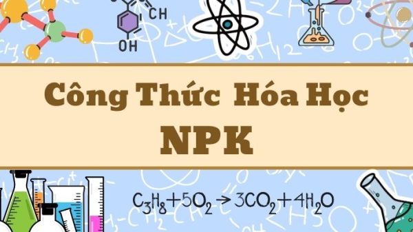 Tổng quan công thức hóa học của NPK và ứng dụng trong phân bón