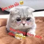 Cringe Meme – Ảnh Chế Biểu Cảm Cringe Ngại Ngùng Hài 😬