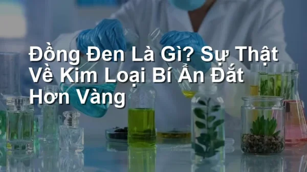 Đồng Đen Là Gì? Sự Thật Về Kim Loại Bí Ẩn Đắt Hơn Vàng