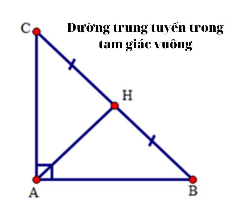 duong-trung-tuyen-la-gi-1 Đường trung tuyến là gì?