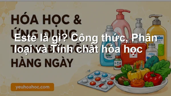 Este là gì? Công thức, Phân loại và Tính chất hóa học