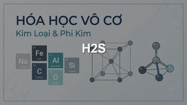 H2S