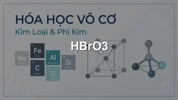 HBrO3