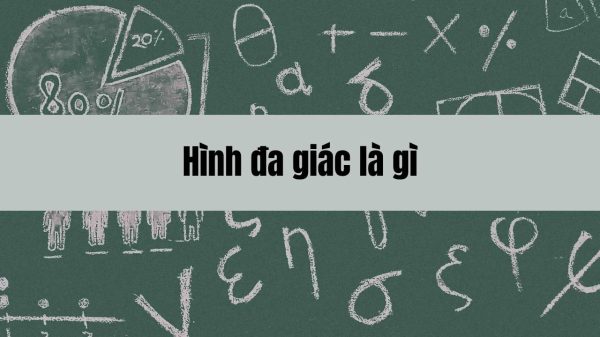 Hình đa giác là gì và những kiến thức kỹ năng quan trọng bạn cần biết