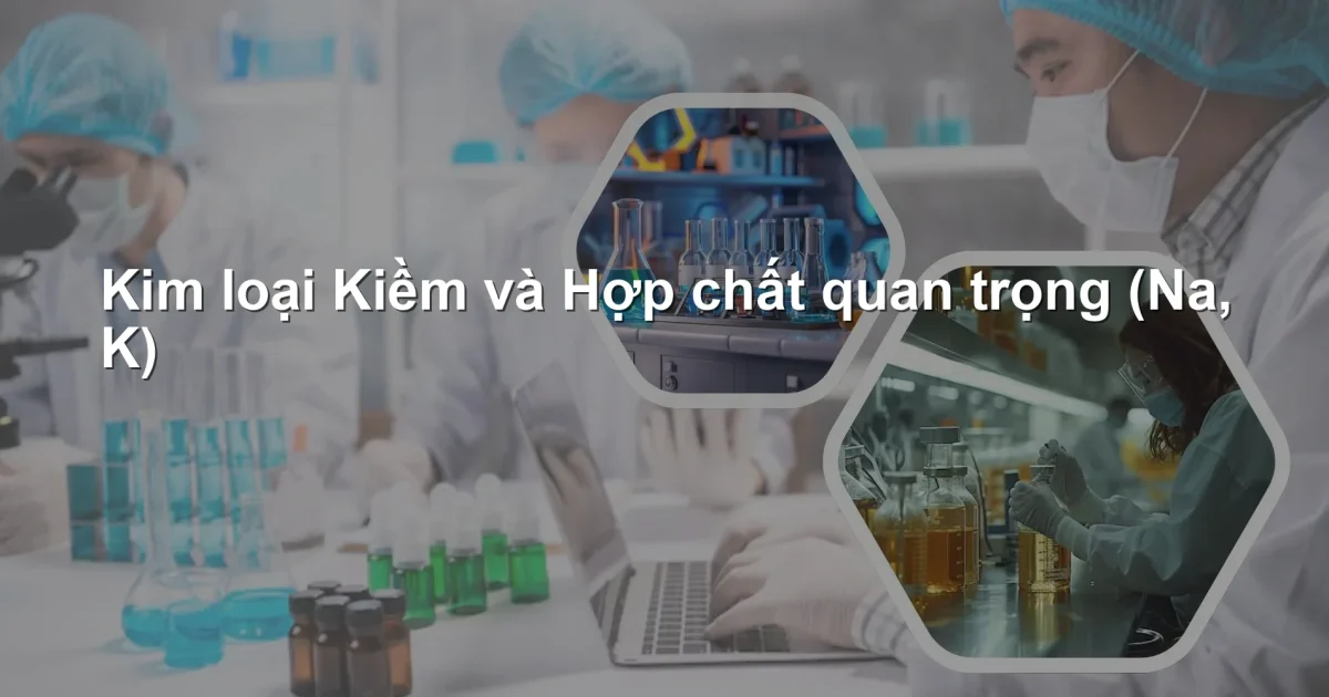 Kim loại Kiềm và Hợp chất quan trọng (Na, K)