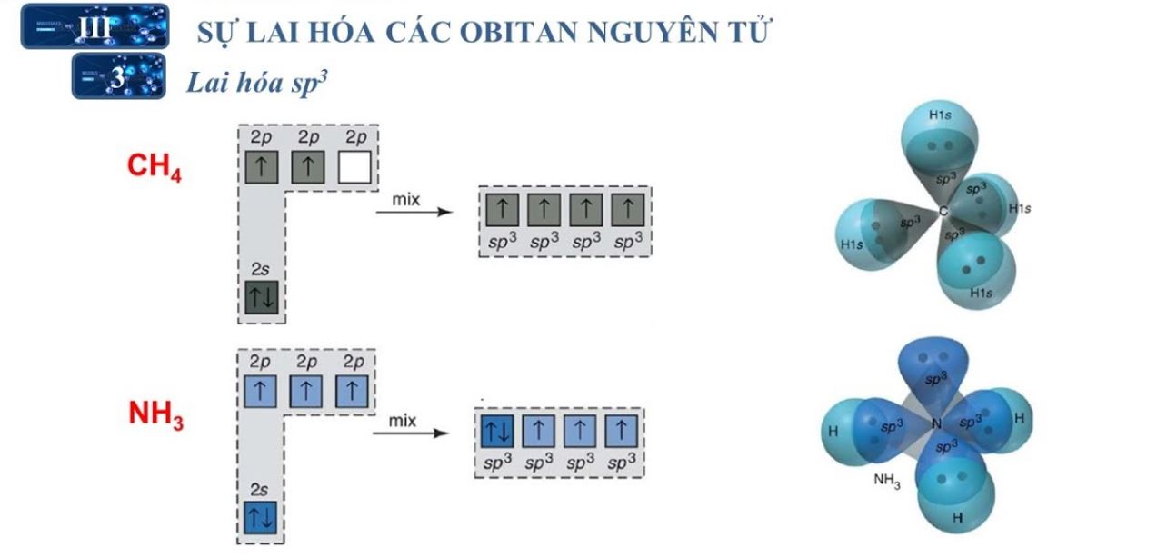 lai-hoa-sp3-va-hinh-hoc-phan-tu-nh3 lai hóa sp3 và hình học phân tử nh3