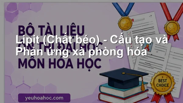 Lipit (Chất béo) – Cấu tạo và Phản ứng xà phòng hóa
