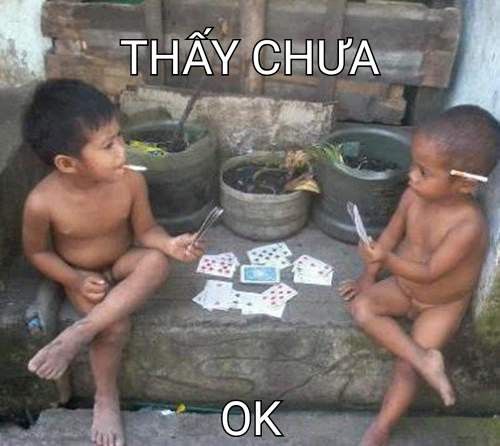 Bài Meme Lá Bài – Ảnh Chế Card Nội Dung Hài Hước 🃏 98 Meme đánh bài hài hước
